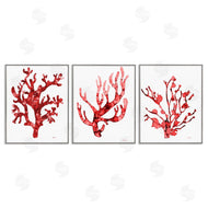 Patti Mann | Bold Red Coral