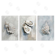 Ramona Murdock | Various Seashell Mirages