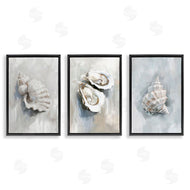 Ramona Murdock | Various Seashell Mirages