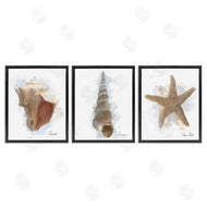 Matthew Piotrowicz | Honeybloom Coastal Seashells