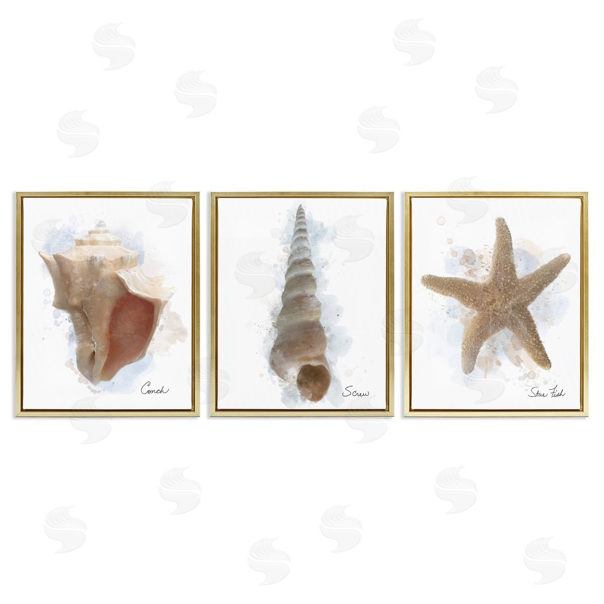 Matthew Piotrowicz Honeybloom Coastal Seashells Canvas Wall Art Print