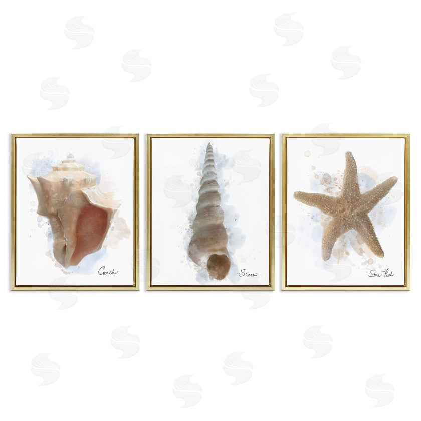 Matthew Piotrowicz | Honeybloom Coastal Seashells
