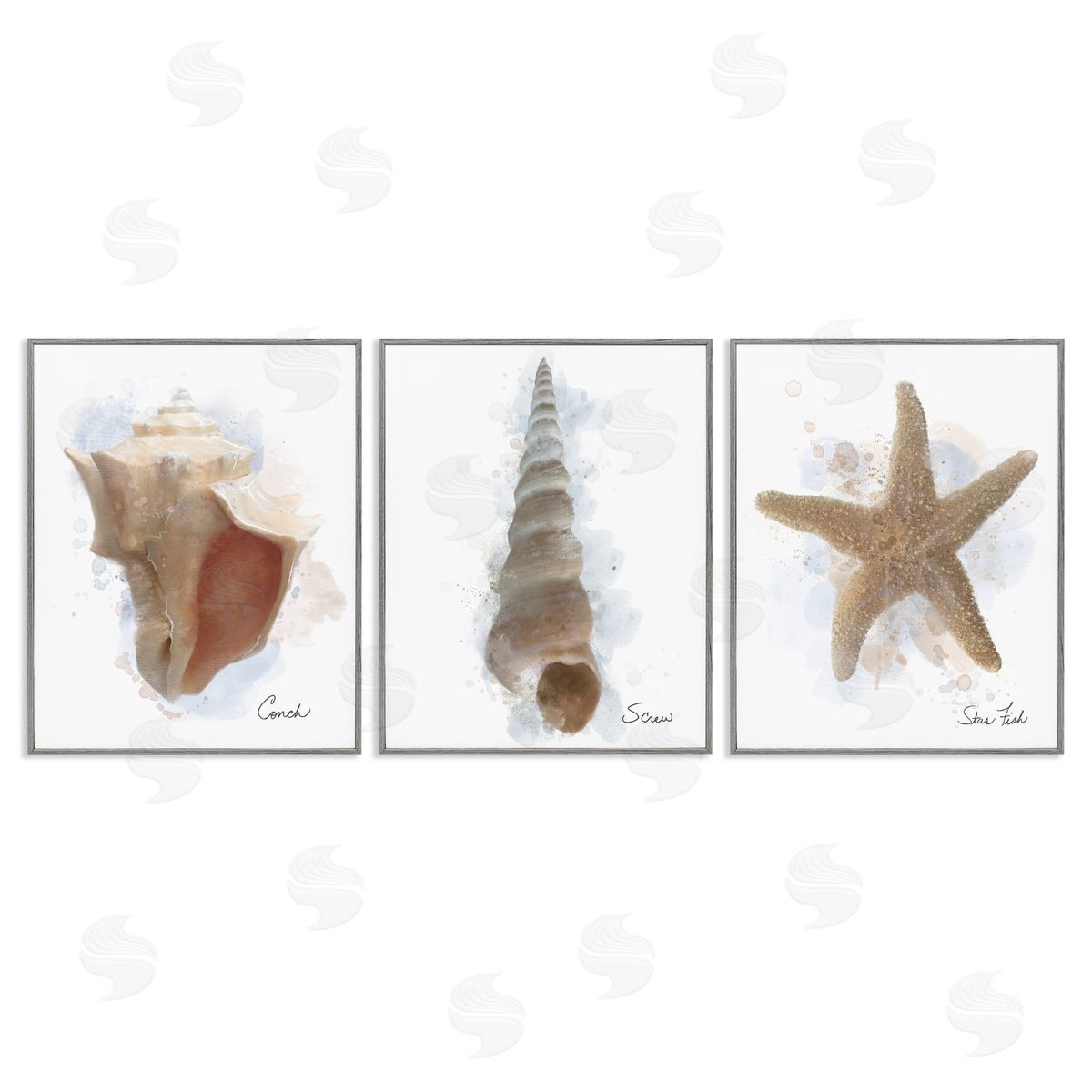 Matthew Piotrowicz Honeybloom Coastal Seashells Canvas Wall Art Print