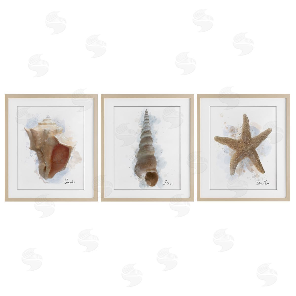 Matthew Piotrowicz Honeybloom Coastal Seashells Canvas Wall Art Print