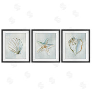 Hannah Dawson | Muted Sea Life Serenity