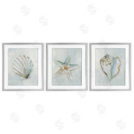 Hannah Dawson | Muted Sea Life Serenity