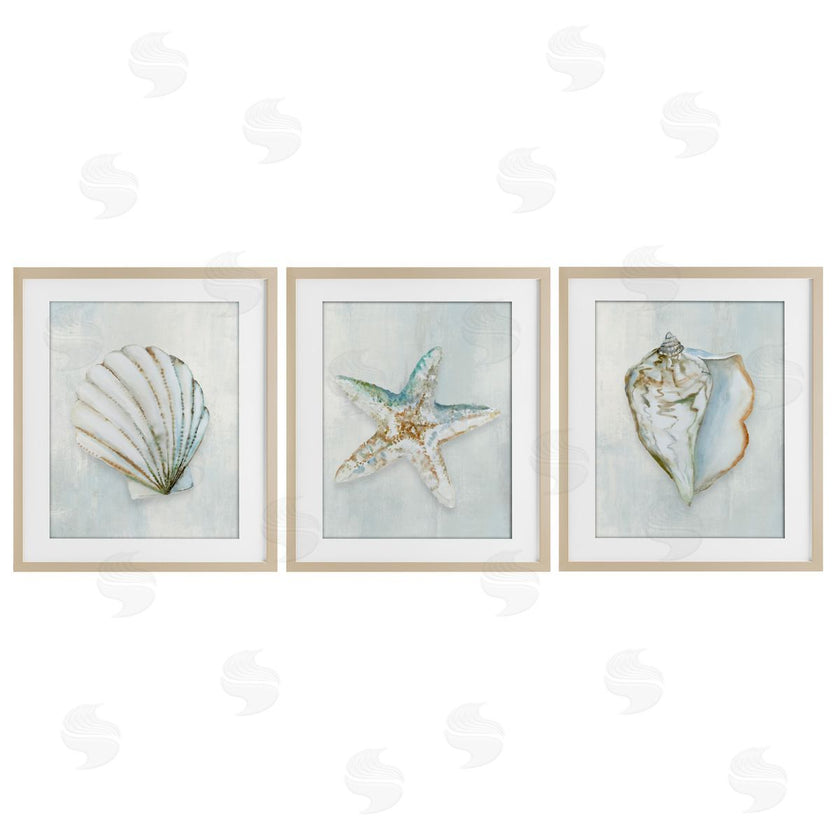 Hannah Dawson | Muted Sea Life Serenity