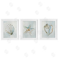 Hannah Dawson | Muted Sea Life Serenity