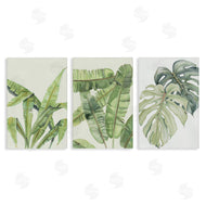 Errico & Slyp | Tropical Leaves Collection