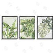 Errico & Slyp | Tropical Leaves Collection