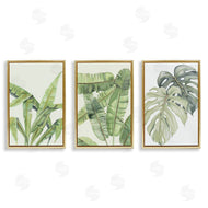 Errico & Slyp | Tropical Leaves Collection