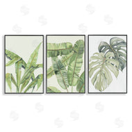 Errico & Slyp | Tropical Leaves Collection