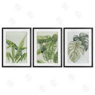 Errico & Slyp | Tropical Leaves Collection