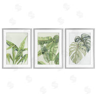 Errico & Slyp | Tropical Leaves Collection