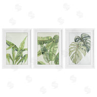 Errico & Slyp | Tropical Leaves Collection