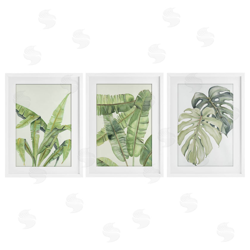 Errico & Slyp | Tropical Leaves Collection