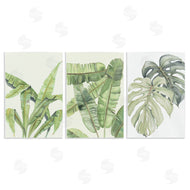 Errico & Slyp | Tropical Leaves Collection