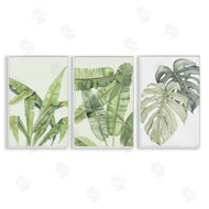 Errico & Slyp | Tropical Leaves Collection