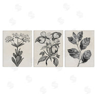 Karen Smith | Classic Natural Botanicals