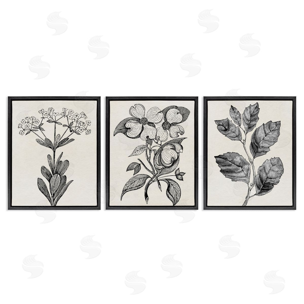Karen Smith Classic Natural Botanicals Canvas Wall Art Print