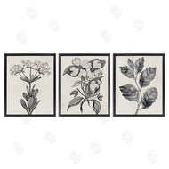 Karen Smith | Classic Natural Botanicals