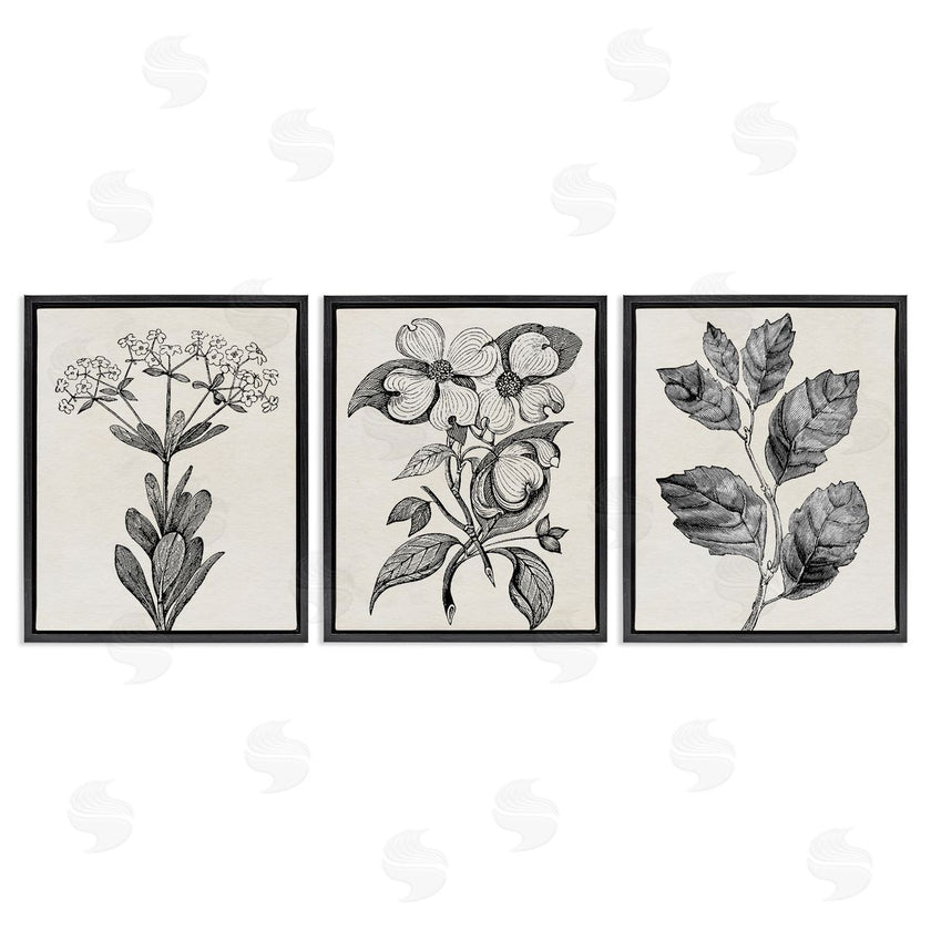 Karen Smith | Classic Natural Botanicals