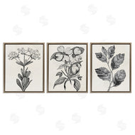Karen Smith | Classic Natural Botanicals