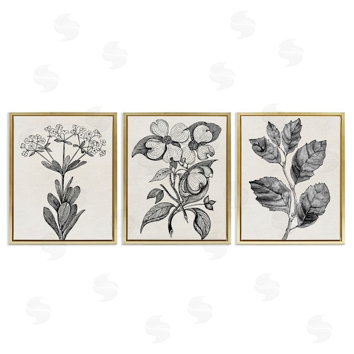 Karen Smith Classic Natural Botanicals Canvas Wall Art Print
