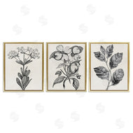 Karen Smith | Classic Natural Botanicals