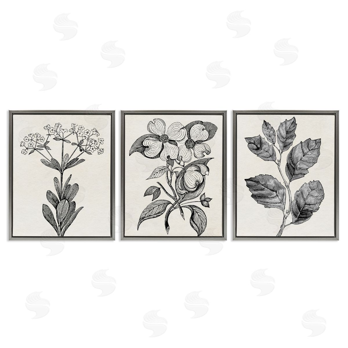 Karen Smith Classic Natural Botanicals Canvas Wall Art Print