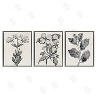 Karen Smith | Classic Natural Botanicals