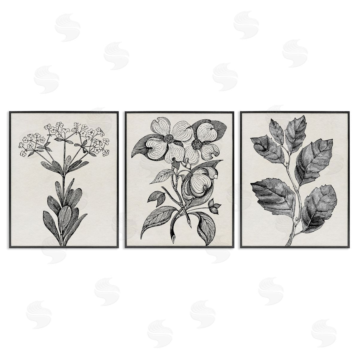 Karen Smith Classic Natural Botanicals Canvas Wall Art Print
