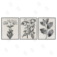Karen Smith | Classic Natural Botanicals