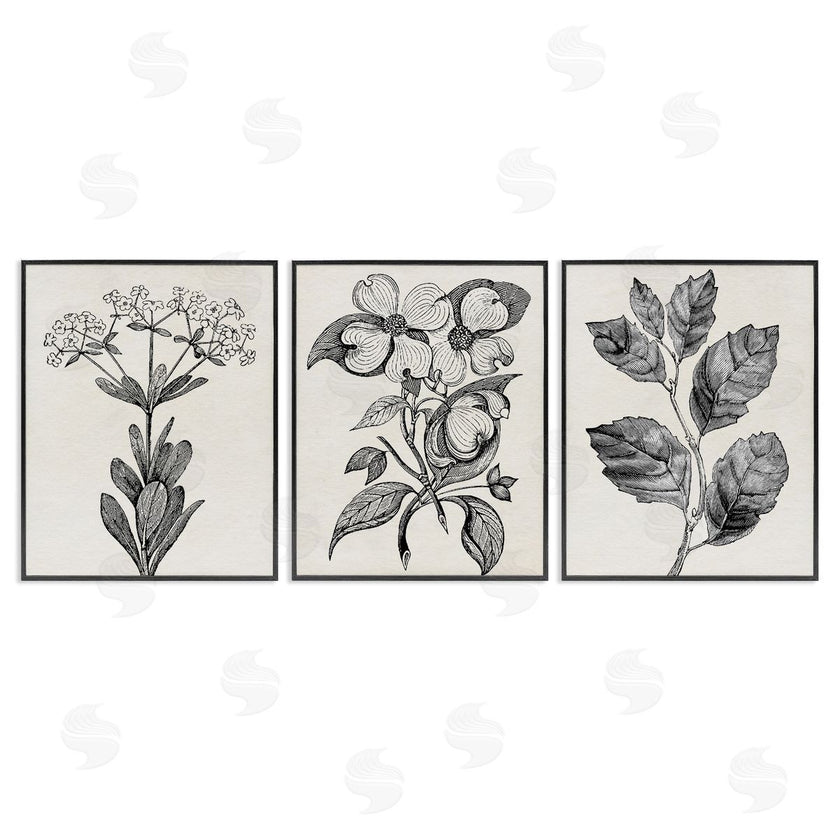 Karen Smith | Classic Natural Botanicals