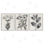 Karen Smith | Classic Natural Botanicals