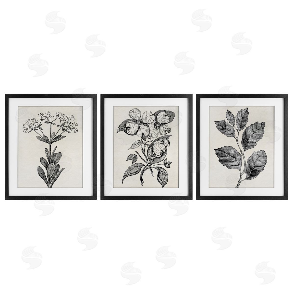 Karen Smith Classic Natural Botanicals Canvas Wall Art Print
