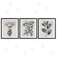 Karen Smith | Classic Natural Botanicals