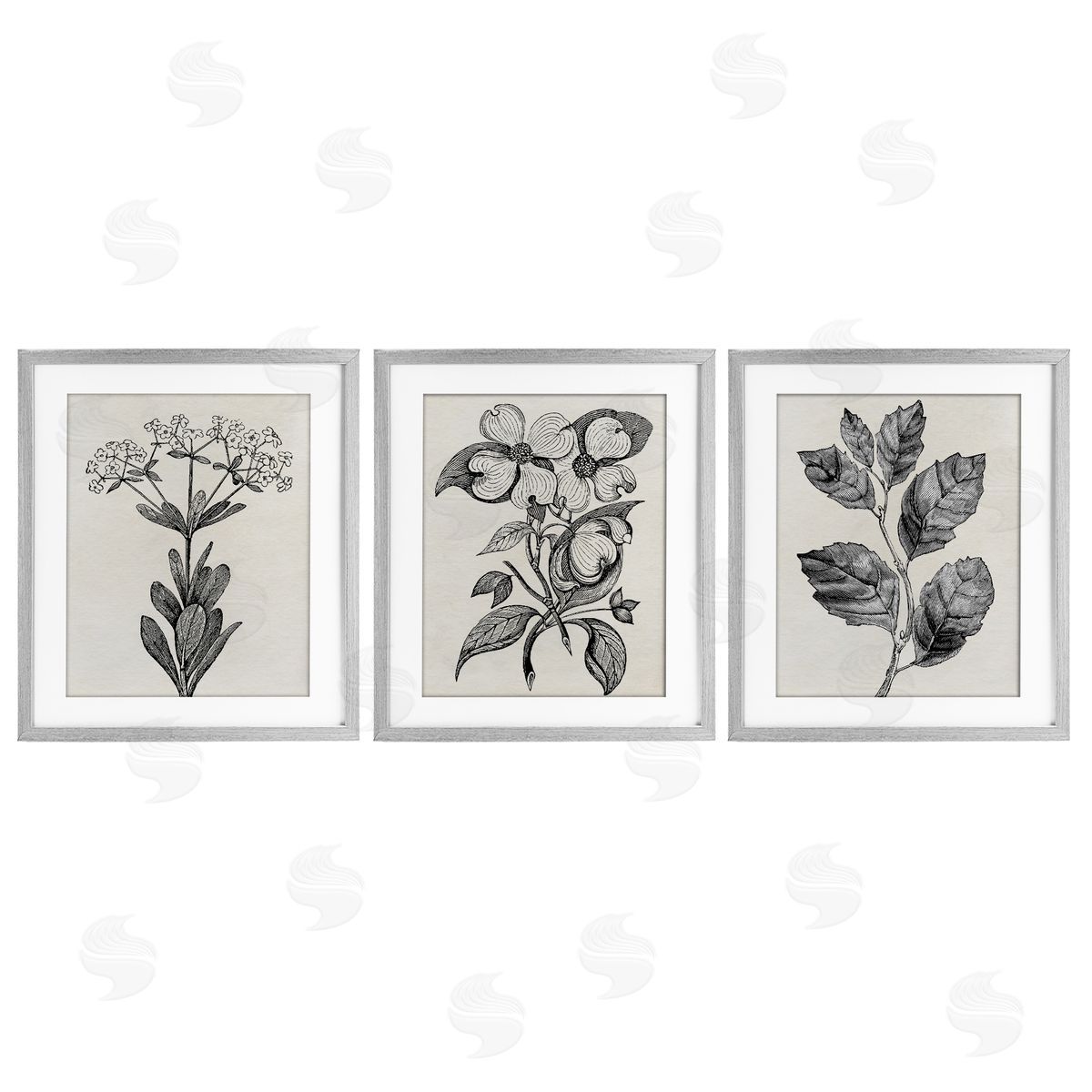 Karen Smith Classic Natural Botanicals Canvas Wall Art Print