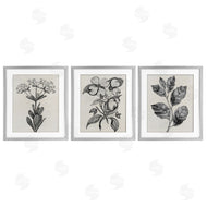 Karen Smith | Classic Natural Botanicals