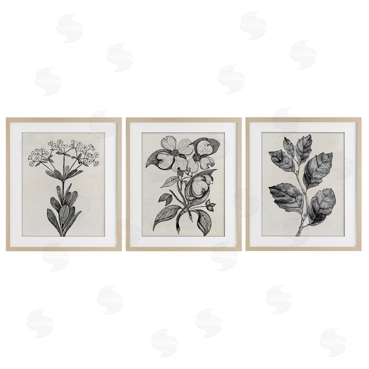 Karen Smith Classic Natural Botanicals Canvas Wall Art Print