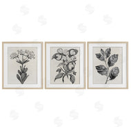 Karen Smith | Classic Natural Botanicals