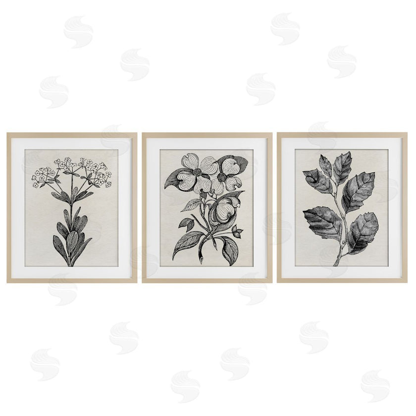 Karen Smith | Classic Natural Botanicals