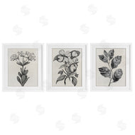 Karen Smith | Classic Natural Botanicals