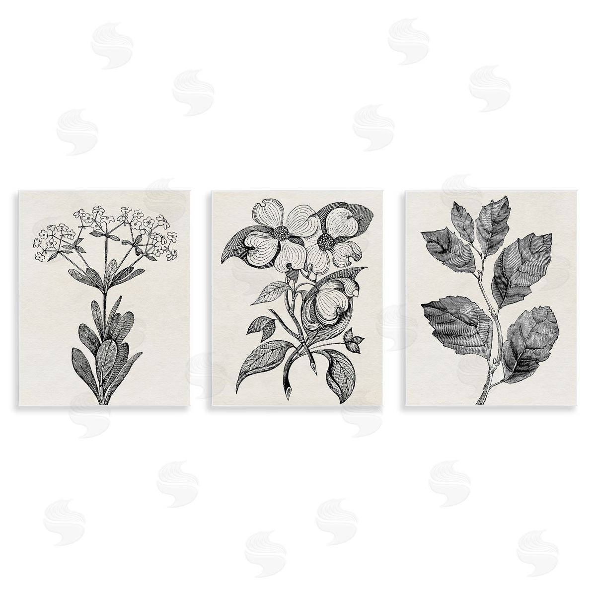 Karen Smith Classic Natural Botanicals Canvas Wall Art Print