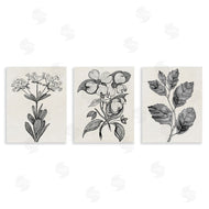 Karen Smith | Classic Natural Botanicals