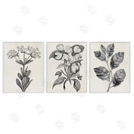 Karen Smith | Classic Natural Botanicals