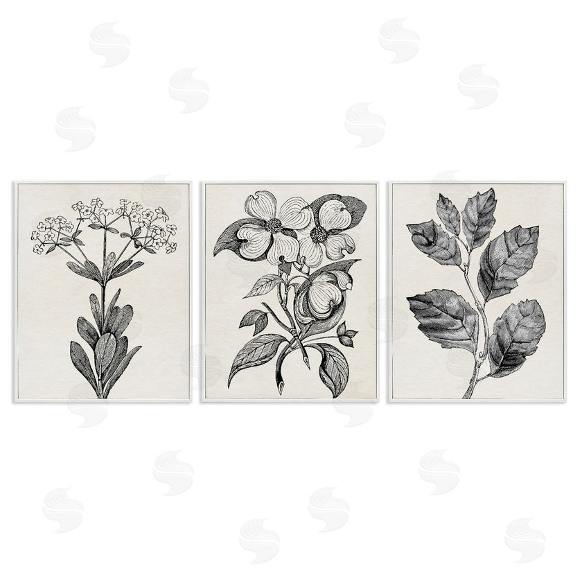 Karen Smith | Classic Natural Botanicals