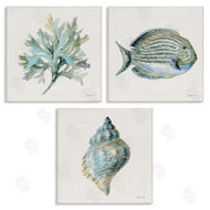 Danhui Nai | Coastal Bliss Sea Life