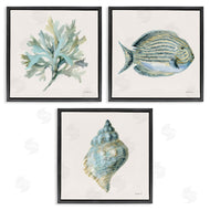 Danhui Nai | Coastal Bliss Sea Life