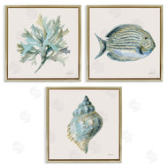 Danhui Nai | Coastal Bliss Sea Life